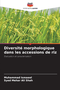 Diversit morphologique dans les accessions de riz