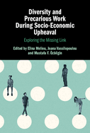 Diversity and Precarious Work During Socio-Economic Upheaval: Exploring the Missing Link