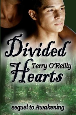 Divided Hearts - O'Reilly, Terry