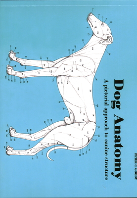 Dog Anatomy: A Pictoral Approach to Canine Structure - Goody, Peter