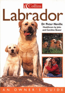Dog Owner's Guide: Labrador - Neville, Peter