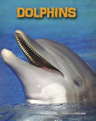 Dolphins - Claybourne, Anna