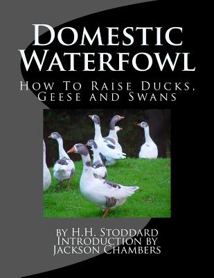 Domestic Waterfowl: How To Raise Ducks, Geese and Swans - Chambers, Jackson (Introduction by), and Stoddard, H H