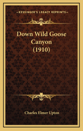 Down Wild Goose Canyon (1910)