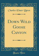 Down Wild Goose Canyon (Classic Reprint)