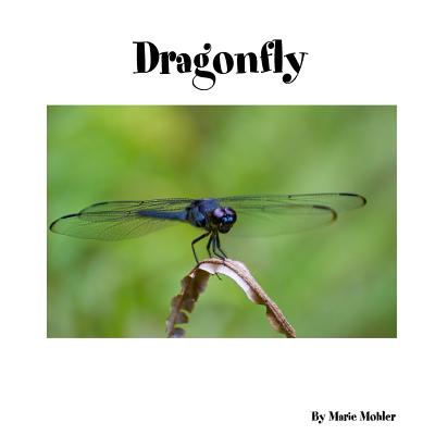 Dragonfly - Mohler, Marie