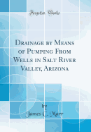 Drainage by Means of Pumping from Wells in Salt River Valley, Arizona (Classic Reprint)