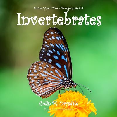 Draw Your Own Encyclopaedia Invertebrates - Drysdale, Colin M