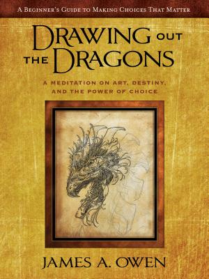 Drawing Out the Dragons: A Meditation on Art, Destiny, and the Power of Choice - Owen, James A