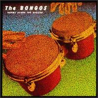 Drums Along the Hudson - Bongos