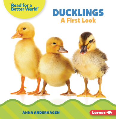 Ducklings: A First Look - Anderhagen, Anna