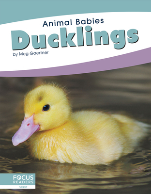 Ducklings - Gaertner, Meg