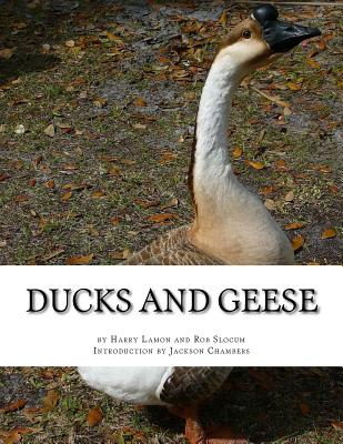 Ducks and Geese - Slocum, Rob, and Chambers, Jackson (Introduction by), and Lamon, Harry