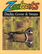 Ducks, Geese, & Swans