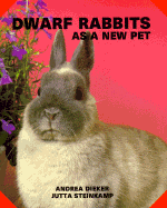 Dwarf Rabbits as a New Pet