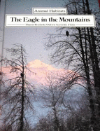 Eagle in the Mountain