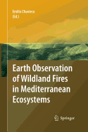 Earth Observation of Wildland Fires in Mediterranean Ecosystems