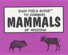 Easy Field Guide to Mammals of Arizona