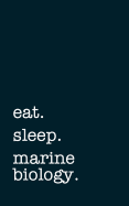 Eat. Sleep. Marine Biology. - Lined Notebook: College Ruled Writing Journal