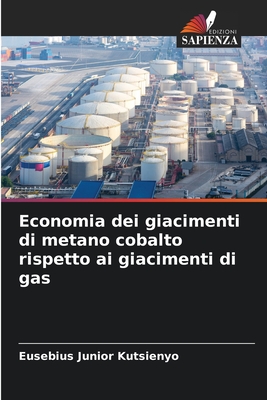 Economia dei giacimenti di metano cobalto rispetto ai giacimenti di gas - Kutsienyo, Eusebius Junior