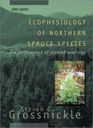 Ecophysiology of Northern Spruce Species: The Performance of Planted Seedlings