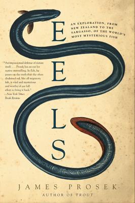 Eels: An Exploration, from New Zealand to the Sargasso, of the World's Most Mysterious Fish - Prosek, James