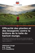 Efficacit des plantes et des bioagents contre la brlure de la toile du haricot mungo.