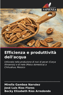 Efficienza e produttivit? dell'acqua