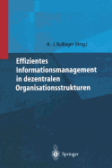 Effizientes Informationsmanagement in Dezentralen Organisationsstrukturen