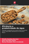 Efici?ncia e produtividade da gua