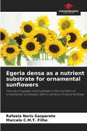 Egeria densa as a nutrient substrate for ornamental sunflowers