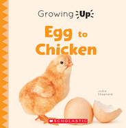 Egg to Chicken (Growing Up) (Paperback)