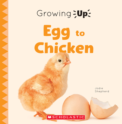 Egg to Chicken (Growing Up) - Shepherd, Jodie