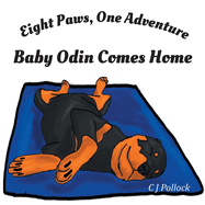 Eight Paws One Adventure: Baby Odin Comes Home