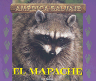 El Mapache