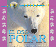 El Oso Polar (the Polar Bear)