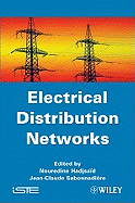 Electrical Distribution Networks