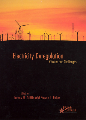 Electricity Deregulation: Choices and Challenges Volume 4 - Griffin, James M (Editor), and Puller, Steven L (Editor)