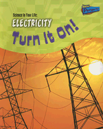 Electricity: Turn It On!