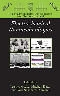 Electrochemical Nanotechnologies - Osaka, Tetsuya (Editor), and Datta, Madhav (Editor), and Shacham-Diamand, Yosi (Editor)