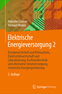 Elektrische Energieversorgung 2: Energiewirtschaft Und Klimaschutz, Elektrizitatswirtschaft Und Liberalisierung, Kraftwerktechnik Und Alternative Stromversorgung, Chemische Energiespeicherung