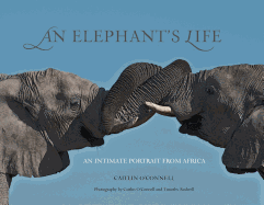 Elephant's Life: An Intimate Portrait from Africa