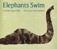 Elephants Swim