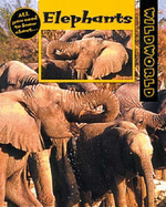 Elephants