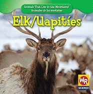 Elk / Uapit?es