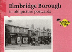 Elmbridge Borough in Old Picture Postcards - White, Neil