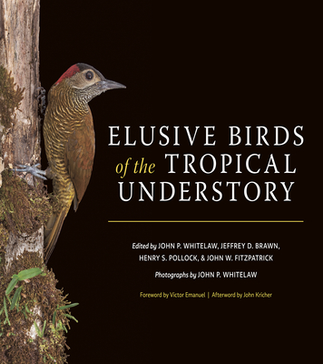 Elusive Birds of the Tropical Understory - Whitelaw, John P, and Brawn, Jeffrey D, and Pollock, Henry S