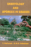 Embryology and Apomixis in Grasses