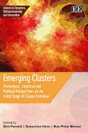 Emerging Clusters: Theoretical, Empirical and Political Perspectives on the Initial Stage of Cluster Evolution