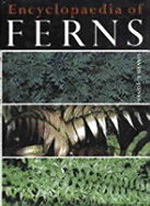 Encyclopaedia of Ferns: Their Structure, Biology, Importance, Cultivation and Propagation